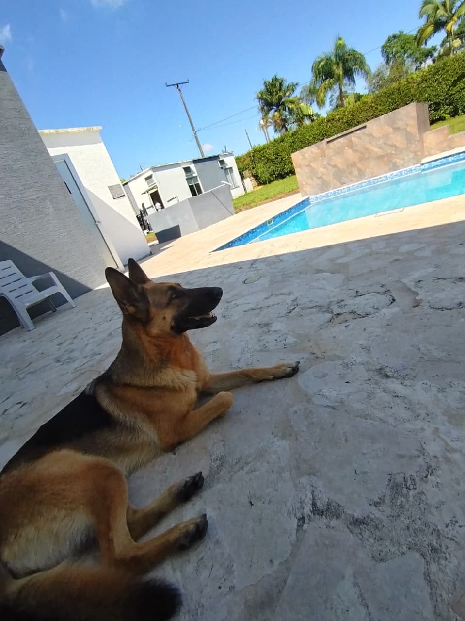 Foto 5